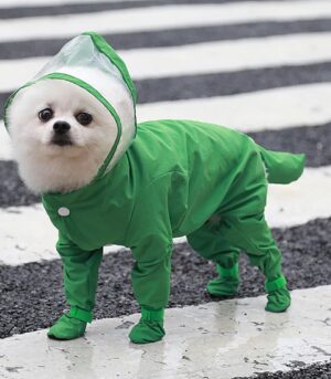 Dog Raincoat with Hood, Waterproof Full-Coverage Reflective Rain Jacket Quick-Drying Rain Poncho and Shoes for Small Medium Large Dogs,Green,S