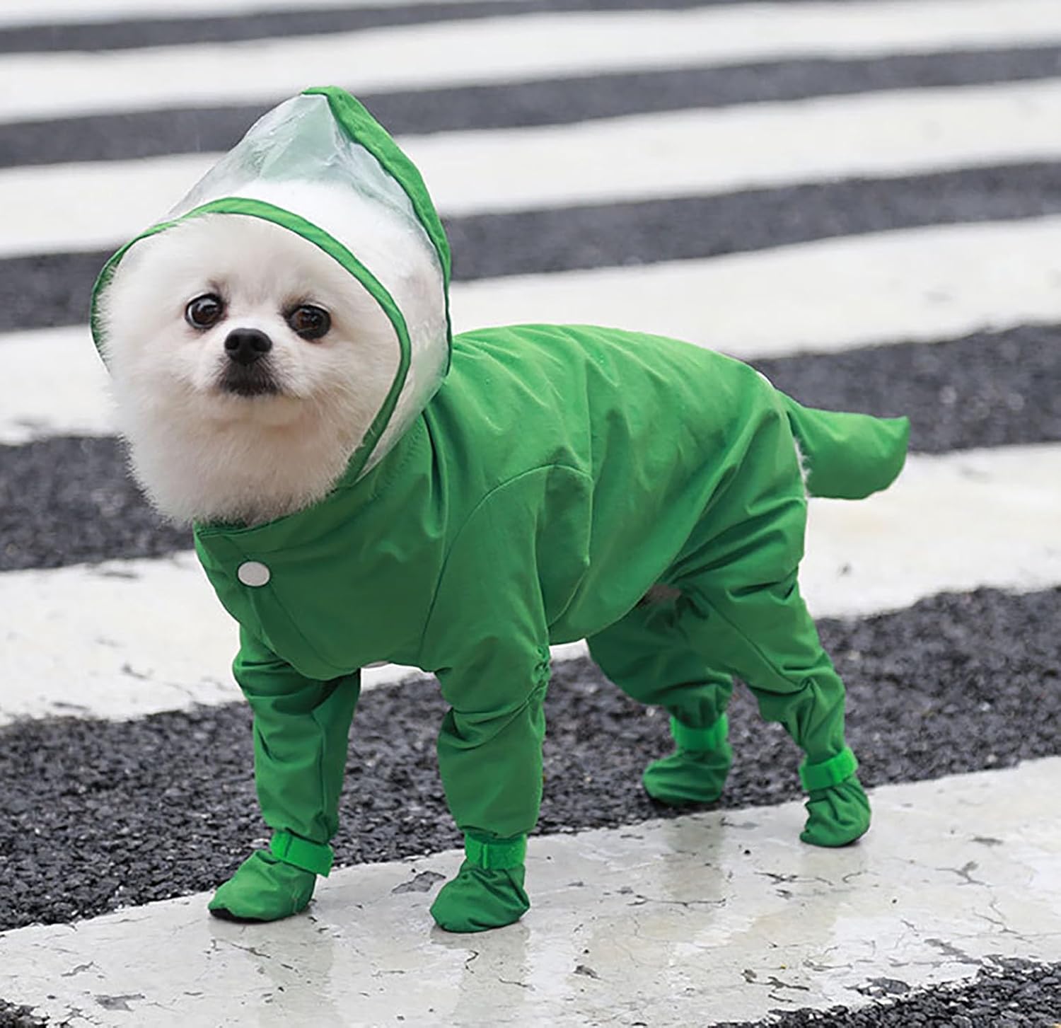Dog Raincoat with Hood, Waterproof Full-Coverage Reflective Rain Jacket Quick-Drying Rain Poncho and Shoes for Small Medium Large Dogs,Green,S