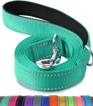 Double-Sided Reflective Dog Leash, 6 FT/5 FT/4 FT, Padded Handle Nylon Heavy Duty Leashes for Medium & Large Dogs Walking, Teal, 6FT